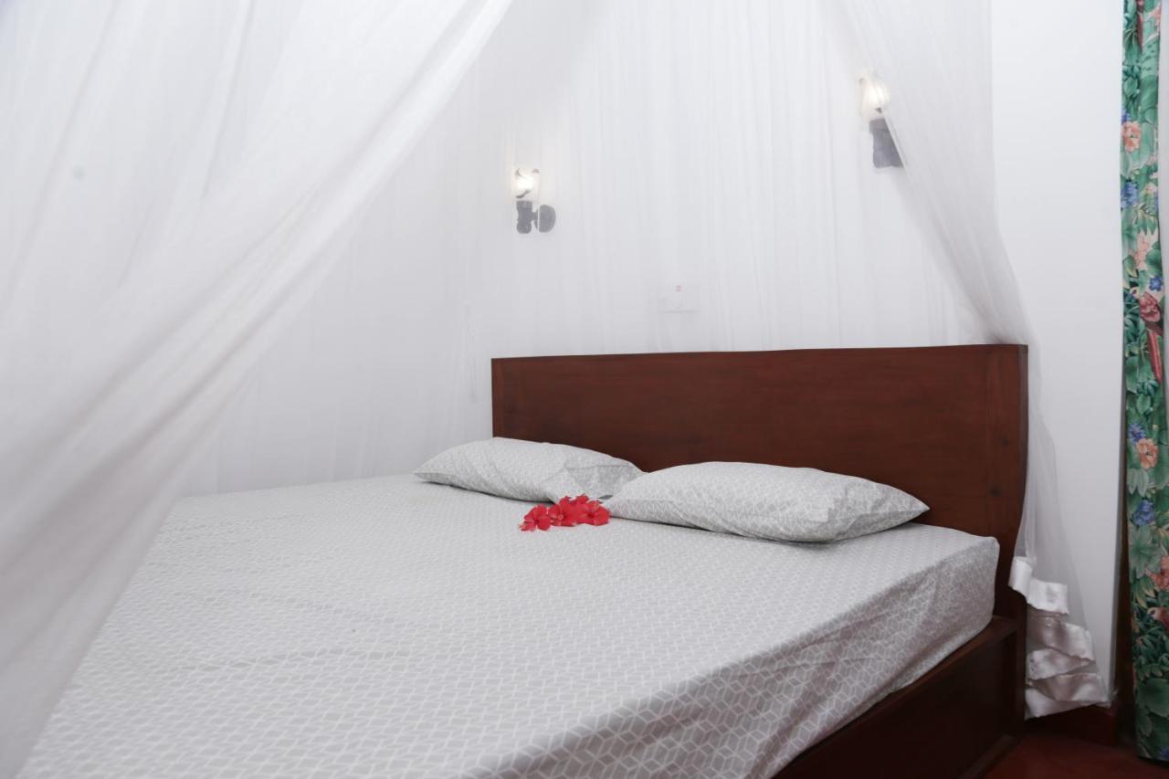 Vivid Lanka Bed and Breakfast Μπεντότα Εξωτερικό φωτογραφία