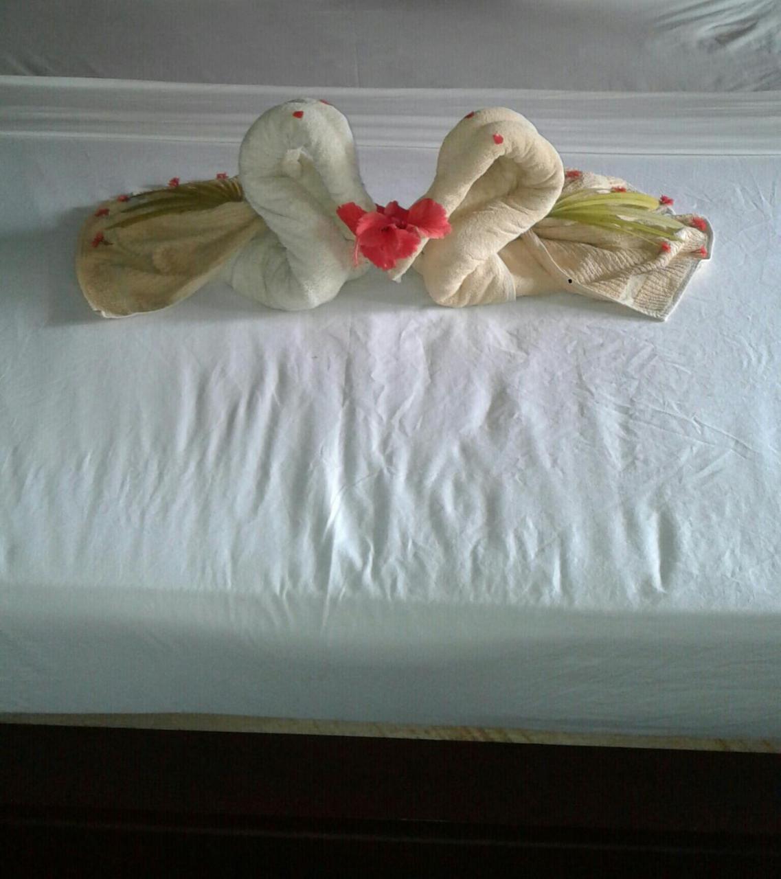 Vivid Lanka Bed and Breakfast Μπεντότα Εξωτερικό φωτογραφία